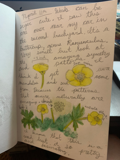 Art Journaling for Beginners: 「Create Your Very Own Floral Natural Journal  by Using Things Around You!」