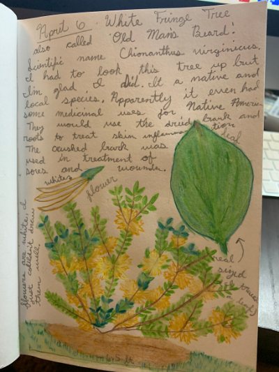 Nature Journals — The Visitor Experience